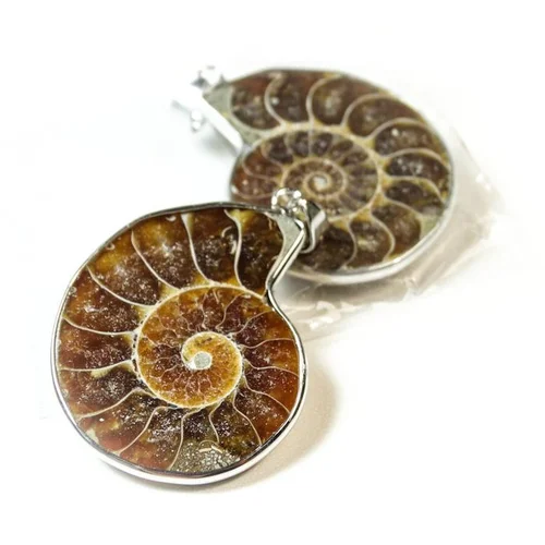 Подвеска аммонит(половинки)